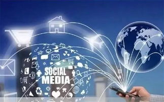 外汇投资高收益真相与网络文化经营的警示